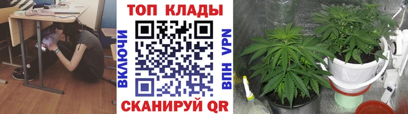 Виды наркоты Конаково Канабис Амфетамин Меф Кокаин