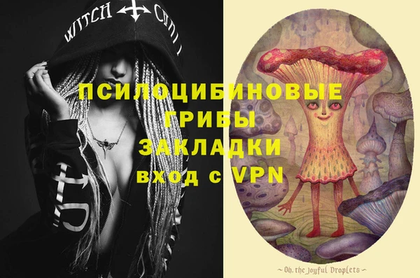 гашик Алексеевка